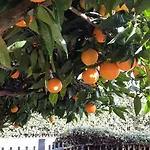 Elisa Holidays 아파트